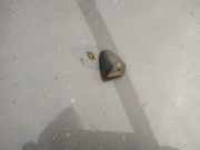 Waschwasserdüse Scheibenreinigung Volvo S60, 2000.01 - 2005.01 Gebraucht ,