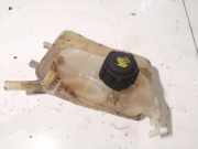 Ausgleichsbeh?lter Renault Megane, III 2008.11 - 2012.06 Gebraucht,