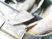 Verkleidung Säule - MITTE RECHTS Audi A6, C7 2011.01 - 2015.06 4g8867293,