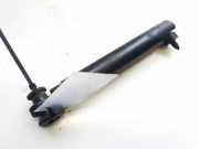 Gasdruckfeder Kofferraum BMW X5, E70 2006.10 - 2010 714963106,