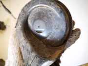 Hupe Volkswagen Passat, B4 1993.07 - 1996.08 e9001157, AFT