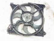 Kühlerlüfter Lüftermotor Hyundai Trajet, 2000.03 - 2008.07 f00s3a2192,