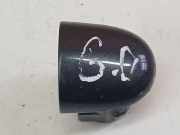 Türgriff Außen Endkappe Renault Scenic, II 2003.06 - 2006.06 242200000, 242200000