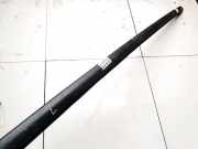 Dachreling Linke Ford Focus, 2011.04 - 2018 BM51N55123AC,