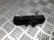 Lampenträger Heckleuchte - Hinten Renault Laguna, I 1994.01 - 2001.03 Gebraucht,