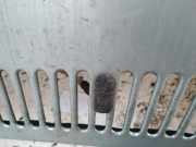 Waschwasserdüse Scheibenreinigung Volkswagen Jetta, MK2 1984.01 - 1992.07 Gebraucht,