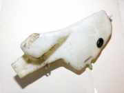 Scheibenwaschbehälter Vorne Wischwasserbehälter Renault Scenic, I 1996.01 - 1999.09 7700843902, 7701683507