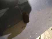 Waschwasserdüse Scheibenreinigung Ford Focus, 2004.11 - 2008.06 Gebraucht,