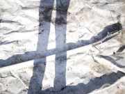 Dachreling Linke Toyota Avensis, II 2003.04 - 2006.03 Gebraucht,