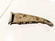 Stoßstangenhalter - Hinten Linke Audi A6, C5 2001.08 - 2005.01 facelift Gebraucht,