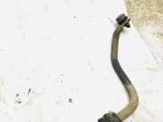 Stabilisator Stabi Hinten Hinterachse Citroen Berlingo, I 1996.07 - 2002.11 Gebraucht,