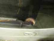 Wischermotor - Hinten Mazda Premacy, 1999.01 - 2005.03 Gebraucht,