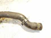 Kühlerschlauch Audi A4, B5 1999.09 - 2001.08 facelift 8d0121101ad,