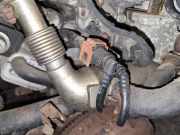 Abgaskühler AGR-Kühler Kia Rio, 2005.03 - 2011.09 Gebraucht,