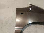 Kotflügel - Vorne Rechts Toyota Previa, 2000.02 - 2006.01 Gebraucht,