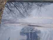 Zierleiste T?r Zier-Schutzleiste - Vorne Linke Mazda 2, DY 2003.02 - 2007.10 Gebraucht,