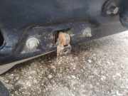 Türfangband Türbremse Türstopper - Vorne Rechts Cadillac CTS, 2003.01 - 2007.12 Gebraucht,