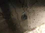 Waschwasserd?se Scheibenreinigung Volvo C30, I 2006.01 - 2010.01 Gebraucht,