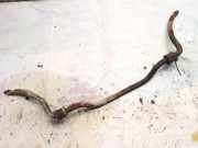 Stabilisator Vorne Renault Scenic, I 1996.01 - 1999.09 Gebraucht,