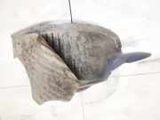 Radhausschale - Vorne Linke Chrysler Grand Voyager, IV 2000.02 - 2008.12 Gebraucht,