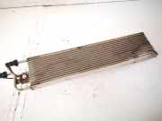Kraftstoffkühler Kraftstoff Kühler Volkswagen Passat, B6 2005.08 - 2010.11 Gebraucht, BKC