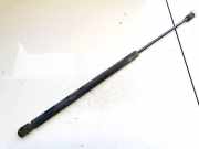 Gasdruckfeder Kofferraum Peugeot 406, 1999.03 - 2004.05 facelift 9626771680,