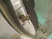 Türfangband Türbremse Türstopper - Hinten Rechts Peugeot 4007 2007 - 2012 Gebraucht,