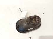 Türinnengriff - Hinten Linke Renault Scenic, II 2003.06 - 2006.06 8200028487,