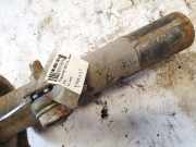 Stoßdämpfer - Vorne Linke Peugeot 607, 2000.01 - 2004.07 9641783080,