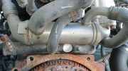 Abgaskühler AGR-Kühler Kia Ceed, I 2006.12 - 2010.05 284162A410V2, 28416-2A410-V2
