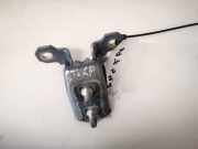 Türscharnier Hinten Renault Vel Satis, 2002.06 - 2009.12 Gebraucht,