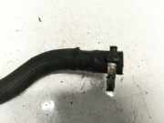 Kühlerschlauch Citroen C-Crosser, I 2007.01 - 2012.12 Gebraucht ,