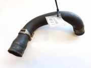 K?hlerschlauch Suzuki Ignis 2000 - 2006 Gebraucht,