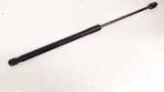 Gasdruckfeder Kofferraum Opel Signum, 2003.05 - 2008.06 Gebraucht,