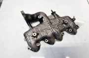 Ansaugkrümmer Volkswagen Passat, B5+ 2000.11 - 2005.05 038129713AP,038129713AP