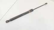 Gasdruckfeder Kofferraum Volkswagen Golf, V 2003.10 - 2008.10 1K6827550F, BKC