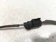 Lambdasonde -4 Drähte WEISS WEISS SCHWARZ GRAU Honda Civic, 2006,01 - 2011.01 Gebraucht,