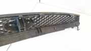 K?hlergrill Frontgrill K?hlergitter Ford Fiesta, V 2002.01 - 2004.12 2S618200AGW,2S61-8200-AGW 2S618200AGW