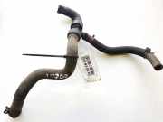 Kühlerschlauch Citroen C5, II 2008.02 - 2011.01 Gebraucht,