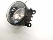 Nebelscheinwerfer - Vorne Linke Renault Megane, II 2002.11 - 2006.06 89202501,