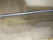 Zierleiste Tür Zier-Schutzleiste - Hinten Rechts Ford C-MAX, 2003.01 - 2007.06 Gebraucht,