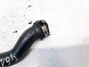 Entlüftungsschlauch Kraftstoffbehälter Ford Focus, 1998.10 - 2002.10 98FF6A886AD, 98FF-6A886-AD