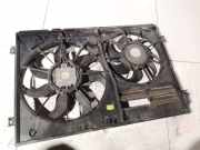 Kühlerlüfter Lüftermotor Volkswagen Passat, B6 2005.08 - 2010.11 1355d300199, 13-55d300199 BKP