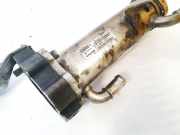 Abgaskühler AGR-Kühler Volvo V70, III 2007 - 2011.06 8801720, XS1155 880765r 500864040