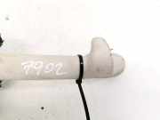 Haltegriff Haltegriff Verdeckgriff - Hinten Linke Dodge Journey. 2009.01 - 2014.12 Gebraucht ,