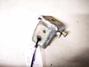 Türscharnier Vorne Citroen C5, I 2001.03 - 2008.02 Gebraucht,