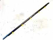 Zierleiste Leiste - Hinten Linke Hyundai Trajet, 2000.03 - 2008.07 Gebraucht,