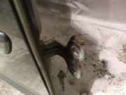 T?rscharnier Vorne Volvo V50, 2004.04 - 2007.05 Gebraucht,