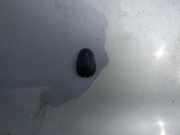 Waschwasserd?se Scheibenreinigung Nissan Almera Tino 2000.08 - 2003.09 Gebraucht,