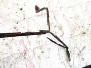 Ersatzradhalter Peugeot 406, 1999.03 - 2004.05 facelift Gebraucht,